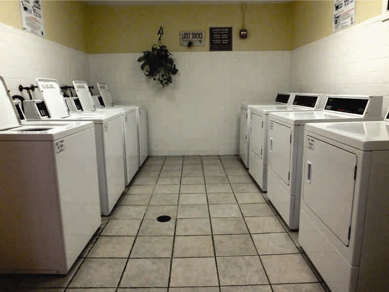 Gallery Photo 10